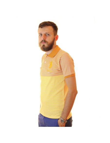 tricou polo din bumbac  cu guler