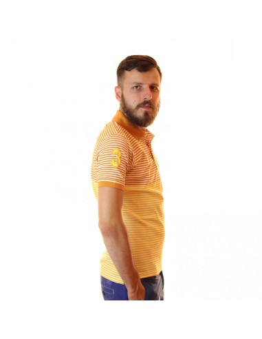 tricou polo din bumbac  cu guler