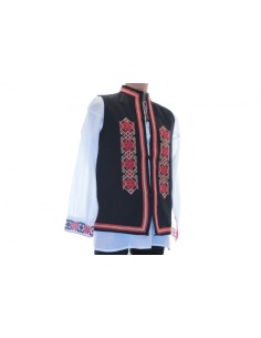 Vesta Traditionala Anton2 2