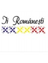 IE TRADITIONALA ROMANEASCA